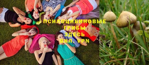 ECSTASY Алексеевка