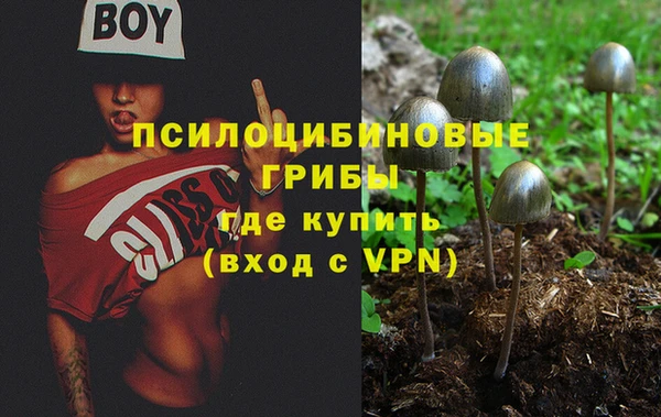 PSILOCYBIN Алексин