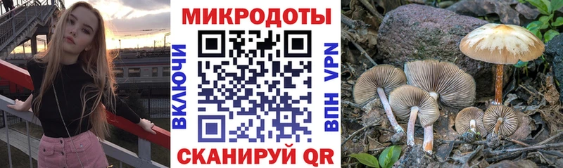Псилоцибиновые грибы Magic Shrooms  купить наркотик  KRAKEN маркетплейс  Бабаево 